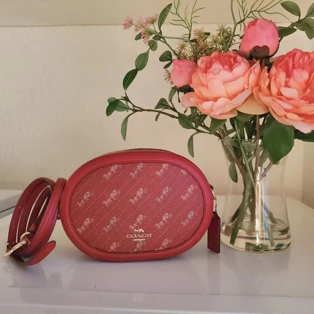 Coach C4057 Horse & Carriage Oval Crossbody Bag | NWT Red Leather